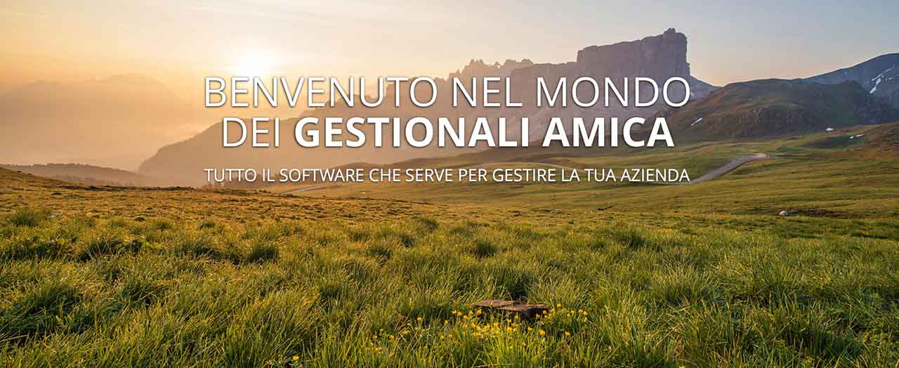 Amica gestionale